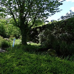 Lesser flamingo outdoor enclosure