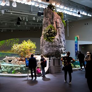 'Archipelago' Full View