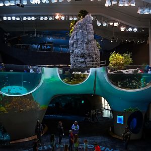 'One Ocean Hall' Center View