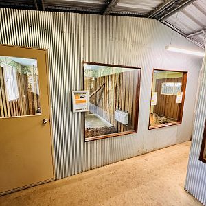 New extension in tropical reptile house