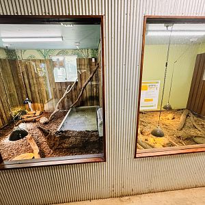 New extension in tropical reptile house
