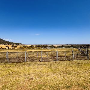 Giraffe/addax enclosure