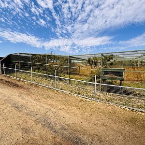 Caracal enclosure