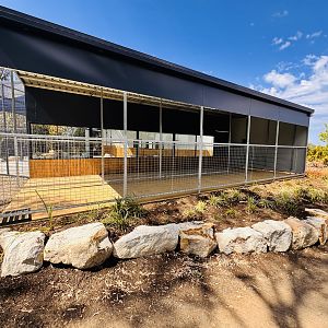 New little penguin enclosure