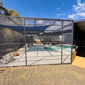 New little penguin enclosure