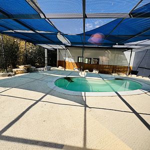 New little penguin enclosure