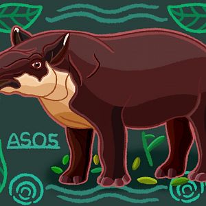 Baird’s Tapir