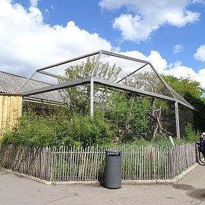 Raubtierhaus: North Chinese leopard enclosure