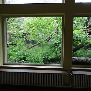 Raubtierhaus: Geoffroys cat enclosure