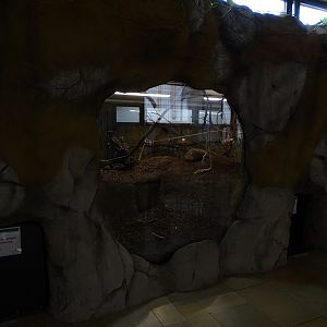 Raubtierhaus: Squirrel monkey and paca enclosure