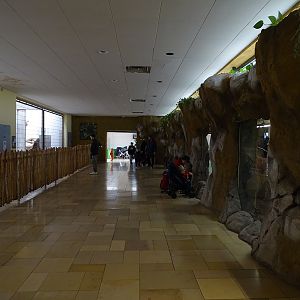 Raubtierhaus: Squirrel monkey and paca enclosure (right), leopard enclosure (left)