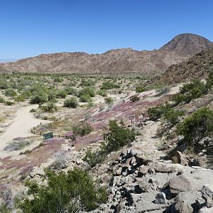 Nature Trail - view from San Anfreas fault exhibit
