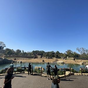 Panoramic Shot of Elephant Trek