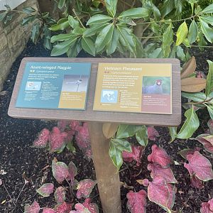 Azure-Winged Magpie and Vietnam Pheasant signage