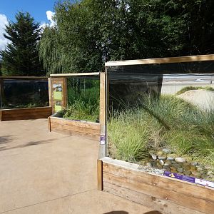British reptile species vivariums