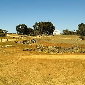 Elephant construction (coming soon)