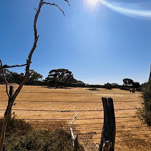 White rhino enclosure