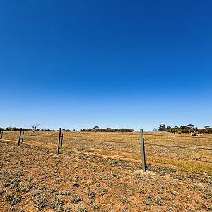 Black rhino enclosure