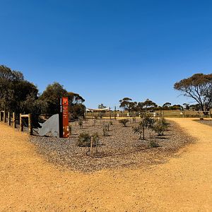 Black rhino enclosure