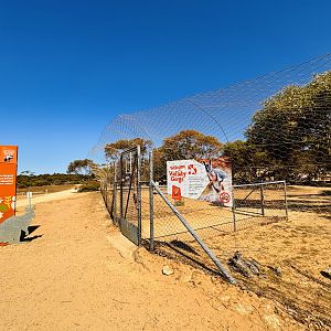 Yellow-footed rock wallaby enclosure