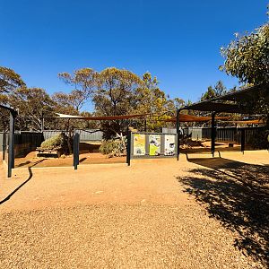 Cape porcupine enclosure