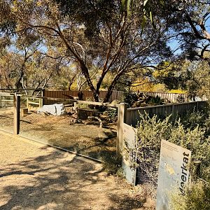 Meerkat enclosure