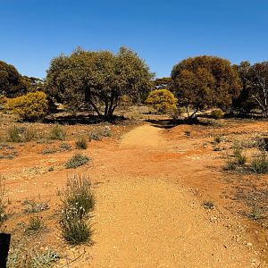 General view of Monarto