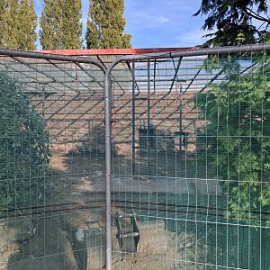 Capuchin enclosure deconstruction- 14/9/2024
