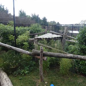 Jaguar outdoor enclosure