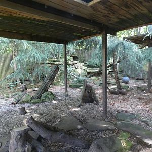 Snow leopard enclosure