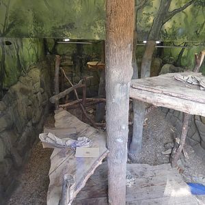 Sun bear indoor enclosure