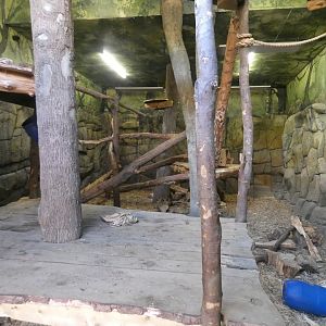 Sun bear indoor enclosure