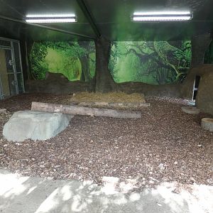 Amur tiger indoor enclosure