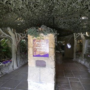 View inside reptile house