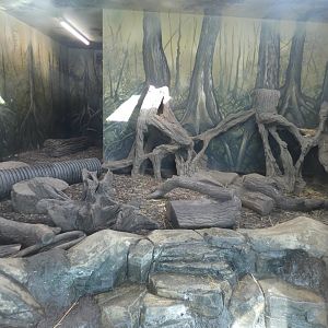 Asian short-clawed otter indoor enclosure