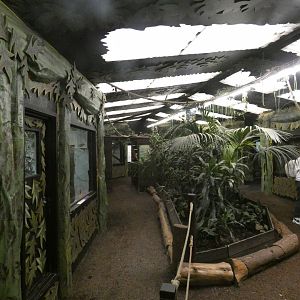 View inside rainforest house