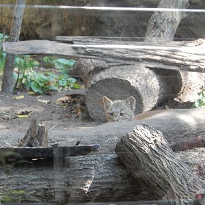 9/13/2024 - I See You!