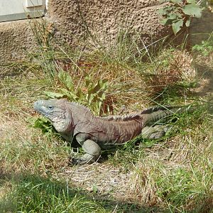 9/13/2024 - Soakin' Up the Sun