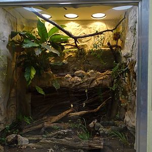 Raubtierhaus: Terrarium for ball python