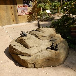 9/13/2024 - Meerkat Statues
