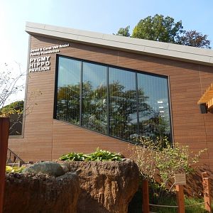 9/13/2024 - Pygmy Hippo Pavilion Building