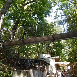 9/13/2024 - Ring-Tailed Lemur Exhibit - Mesh Tunnel Extension