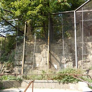 9/13/2024 - Mountainous Cages for Mountainous Cats