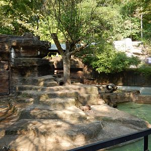 9/13/2024 - River Otter Exhibit