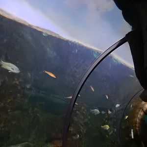 9/13/2024 - Pacific Northwest Tank