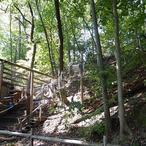 9/13/2024 - Howler Monkey Exhibit - Mesh Tunnel Extension
