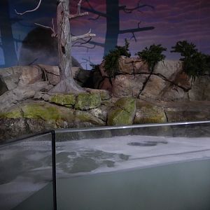 9/13/2024 - Tide Pool