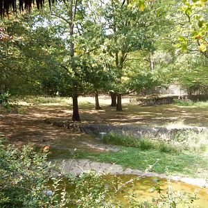 9/13/2024 - Mixed-Species Habitat