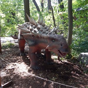 9/13/2024 - Edmontonia (?)