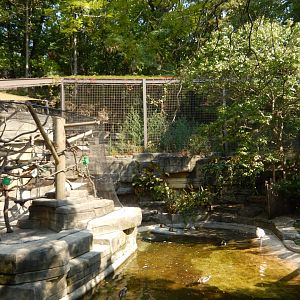 9/13/2024 - South American View